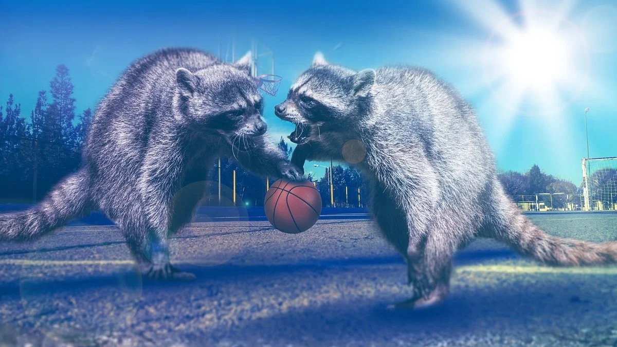WNBA奖项追踪:A'jaWilson赛后节奏与临场控制解析
